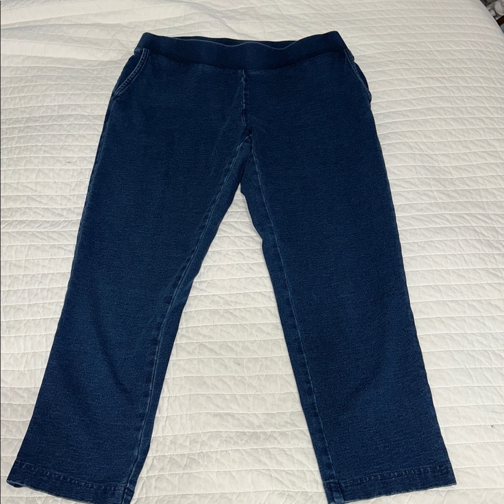 NWT‎ J. Jill pure jill  Women’s Smooth Fit Knit Pull On knit 
Jeans XS petite